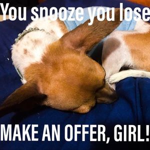 Plus size clothes and accessories!